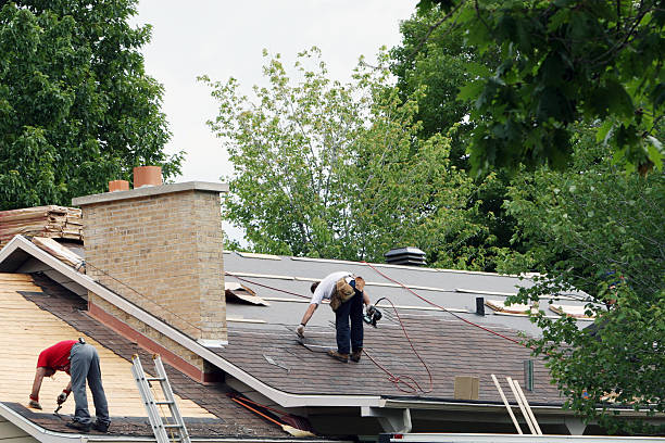 Best Roof Maintenance Services  in Leominster, MA